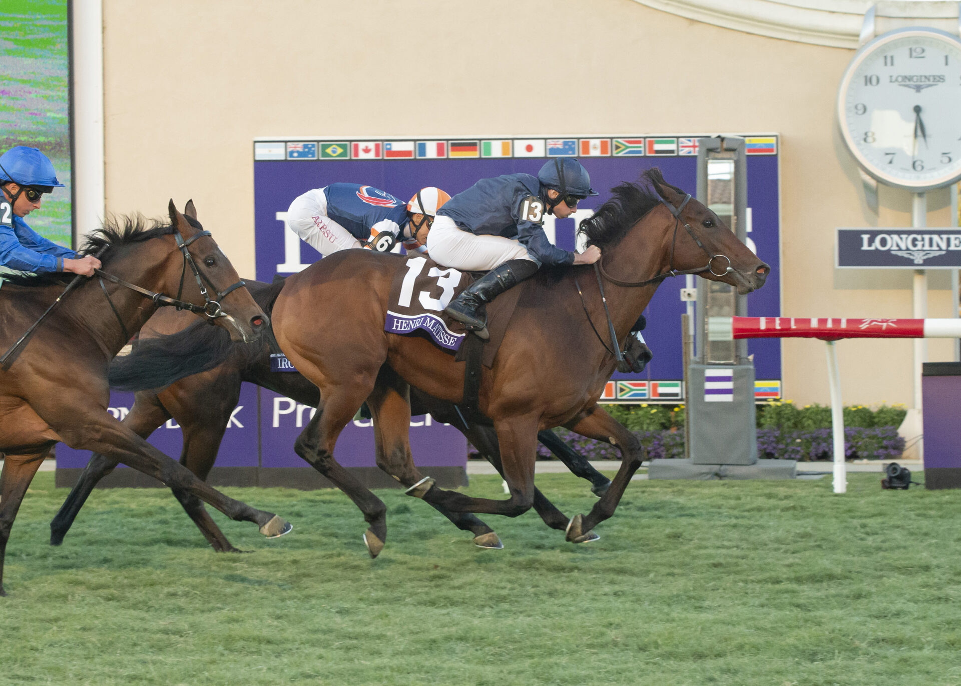 Henri Matisse, horse, Wootton Bassett, Breeders Cup Juvenile Turf, viernes, 1 de noviembre de 2024, Del Mar Racing. Benoit Photo / @benoitphoto_
