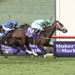Moira, horse, Adena Springs, Breeders Cup Filly and Mare Turf, sábado, 2 de noviembre de 2024, Del Mar. Foto: Benoit Photo / @benoitphoto_