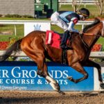 Built, horses, Eclipse Thoroughbred Partners, Gun Runner Stakes, sábado, 21 de diciembre de 2024, Fair Grounds. Foto: Hodges Photography