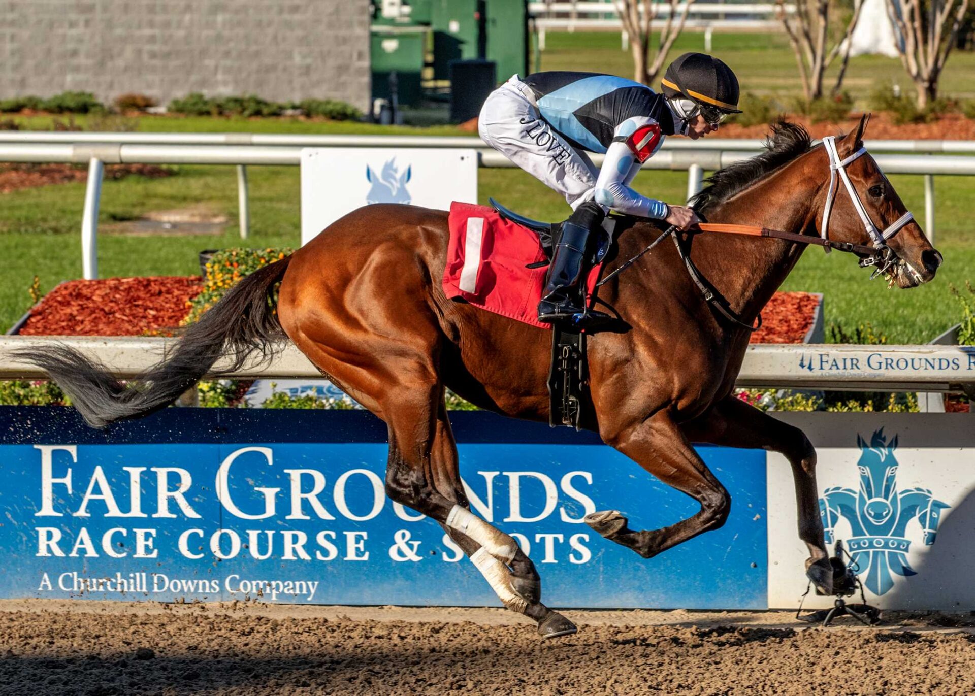 Built, horses, Eclipse Thoroughbred Partners, Gun Runner Stakes, sábado, 21 de diciembre de 2024, Fair Grounds. Foto: Hodges Photography