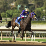 J B Strikes Back, Horses, Goldencents, Laffit Pincay Jr. Stakes, jueves, 26 de diciembre de 2024, Santa Anita Park. Foto: Benoit Photo