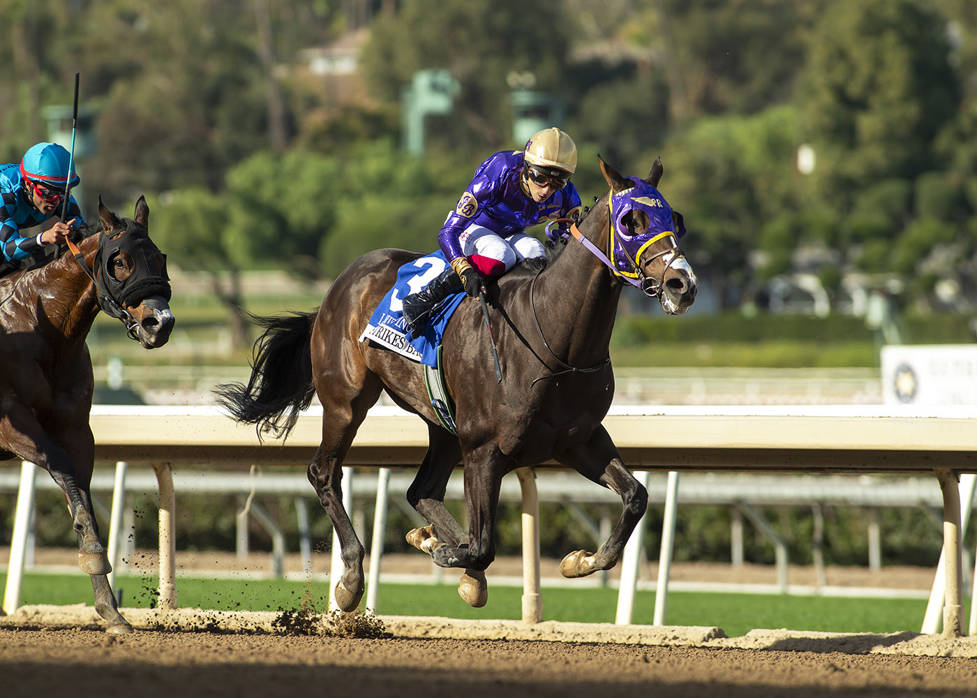 J B Strikes Back, Horses, Goldencents, Laffit Pincay Jr. Stakes, jueves, 26 de diciembre de 2024, Santa Anita Park. Foto: Benoit Photo