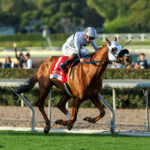King Of Gosford, Horses, Zoustar, Mathis Mile Stakes, jueves, 26 de diciembre de 2024, Santa Anita Park. Foto: Benoit Photo