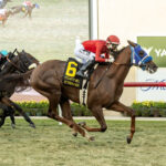 Mi Hermano Ramón, Horses, Creative Cause, Seabiscuit Hándicap, sábado, 30 de noviembre de 2024, Del Mar. Foto: Benoit Photo