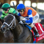 Sacred Wish, horse, Not This Time, Matriarch Stakes, domingo, 1 de diciembre de 2024, Del Mar. Foto: Benoit Photo