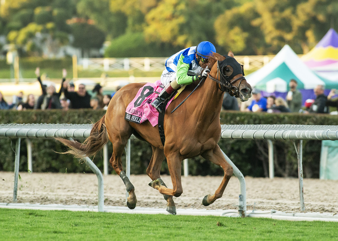 She Feels Pretty, horses, Karakontie, American Oaks, jueves, 26 de diciembre de 2024, Santa Anita Park. Foto: Benoit Photo