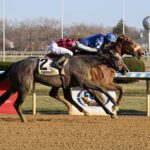 Poster, horse, Munnings, Remsen Stakes, sábado, 7 de diciembre de 2024, Aqueduct. Foto: Coglaniese Photo & Susie Raisher