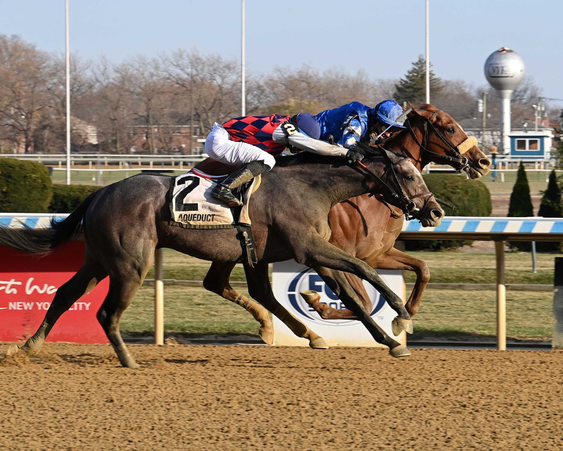 Poster, horse, Munnings, Remsen Stakes, sábado, 7 de diciembre de 2024, Aqueduct. Foto: Coglaniese Photo & Susie Raisher