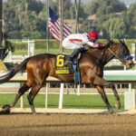 Cavalieri, horses, Nyquist, La Cañada Stakes, sábado, 4 de enero de 2025, Santa Anita Park. Foto: Benoit Photo