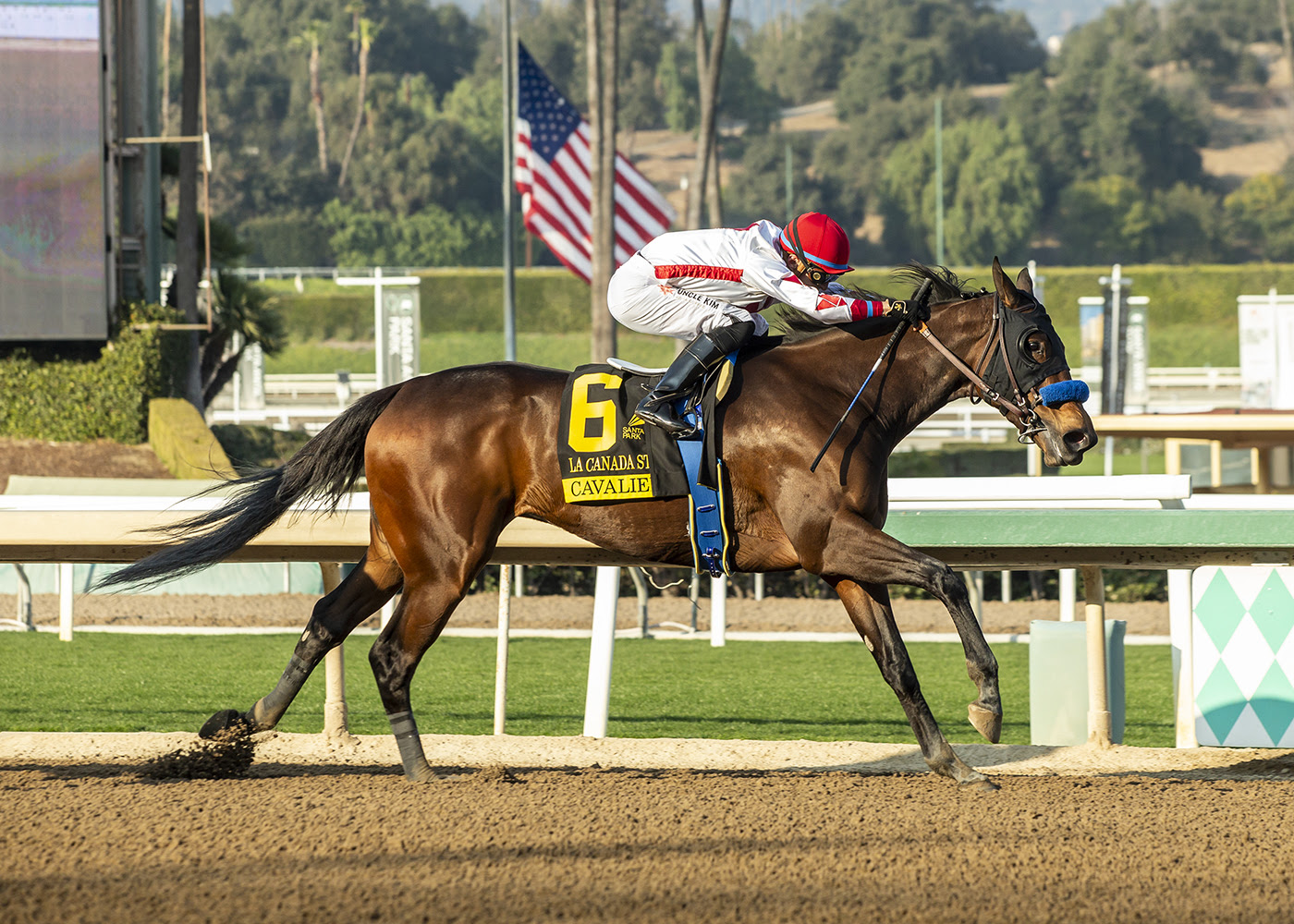 Cavalieri, horses, Nyquist, La Cañada Stakes, sábado, 4 de enero de 2025, Santa Anita Park. Foto: Benoit Photo