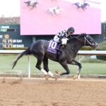 Speed King, horse, Volatile, Southwest Stakes, sábado, 25 de enero de 2025, Oaklawn Park. Foto: Coady Media