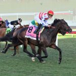 Spirit Of St Louis, horse, Madaket Stables, Pegasus World Cup Turf Invitational, sábado, 25 de enero de 2025, Gulfstream Park. Foto: Coglaniese Photo