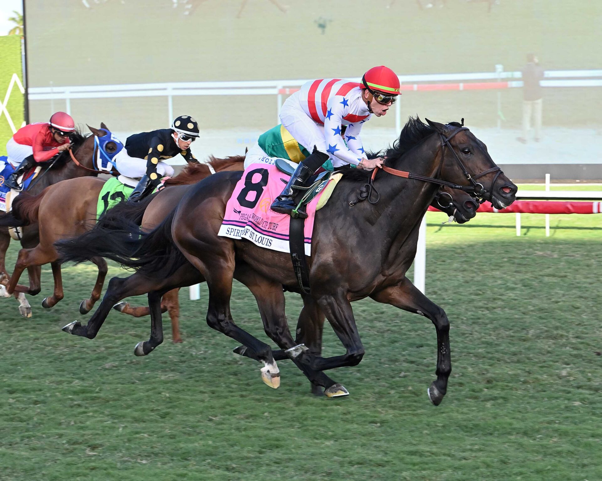 Spirit Of St Louis, horse, Madaket Stables, Pegasus World Cup Turf Invitational, sábado, 25 de enero de 2025, Gulfstream Park. Foto: Coglaniese Photo