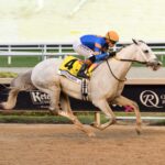 White Abarrio, horse, Race Day, Pegasus World Cup, sábado, 25 de enero de 2025, Gulfstream Park. Foto: Coglaniese Photo