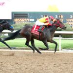 Coal Battle, horse, Coal Front, Rebel Stakes, domingo, 23 de febrero de 2025, Oaklawn Park. Foto: Coady Media