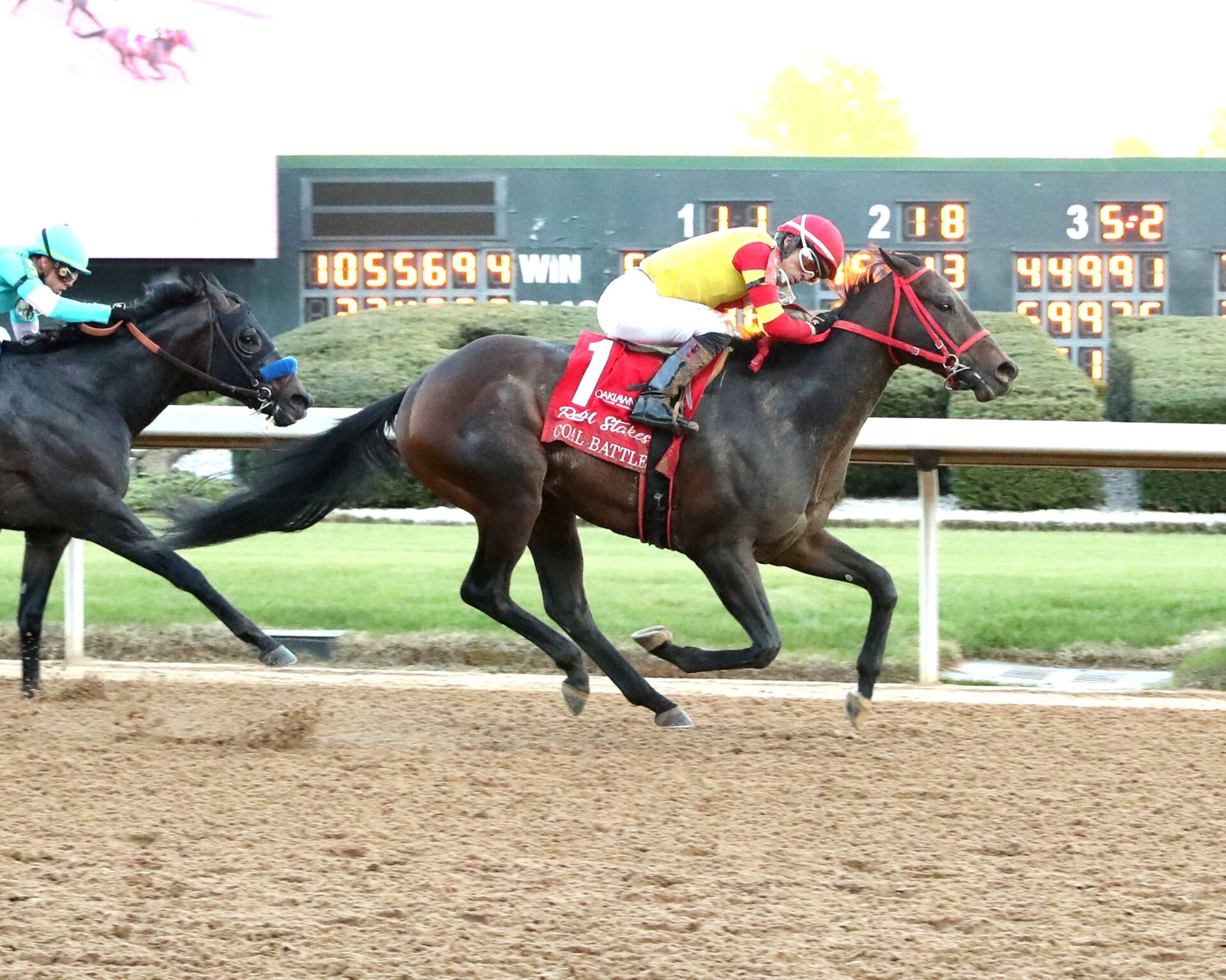 Coal Battle, horse, Coal Front, Rebel Stakes, domingo, 23 de febrero de 2025, Oaklawn Park. Foto: Coady Media