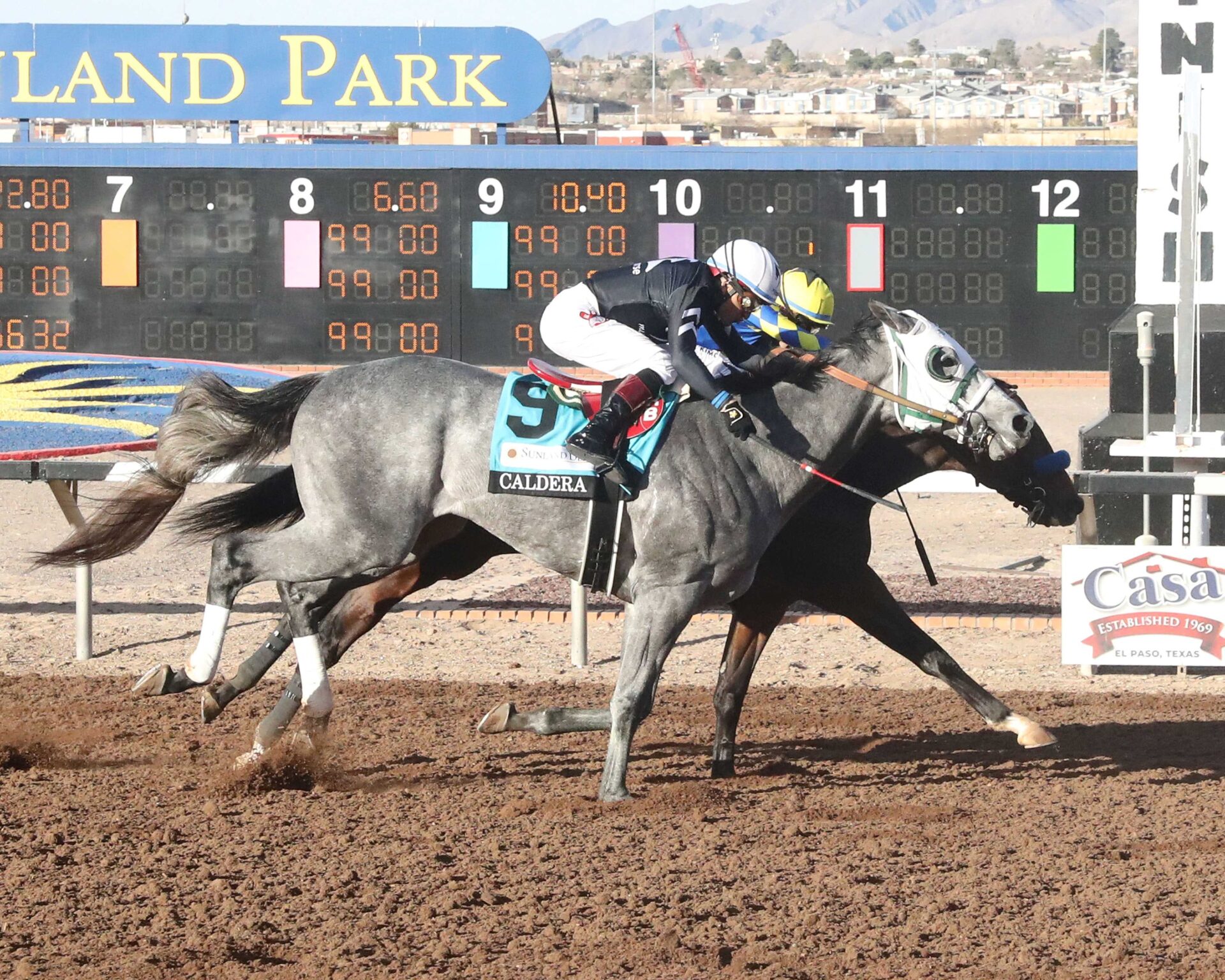 Getaway Car, Horses, Curlin, Sunland Park Derby, domingo, 16 de febrero de 2025, Sunland Park. Foto: Coady Media @CoadyPhoto