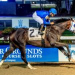 Good Cheer, horse, Godolphin, Rachel Alexandra Stakes, sábado, 15 de febrero de 2025, Fair Grounds. Foto: Hodges Photography