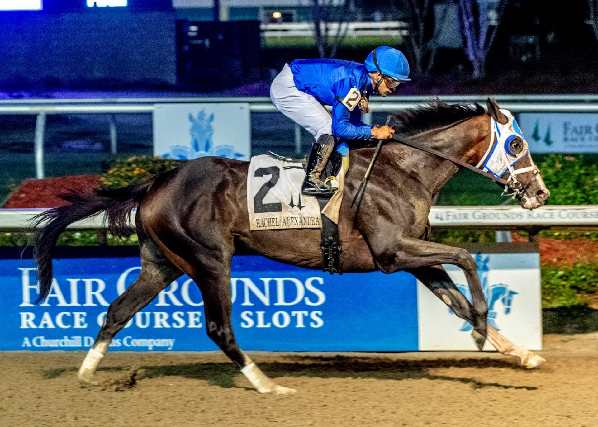 Good Cheer, horse, Godolphin, Rachel Alexandra Stakes, sábado, 15 de febrero de 2025, Fair Grounds. Foto: Hodges Photography