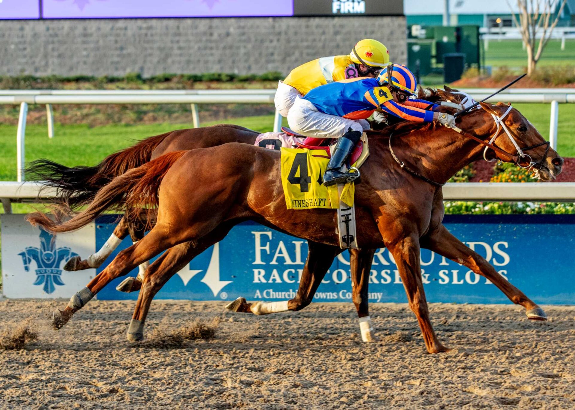 Hall Of Fame, horse, Gun Runner, Mineshaft Stakes, sábado, 15 de febrero de 2025, Fair Grounds. Foto: Hodges Photography