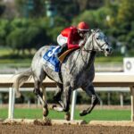 Roll On Big Joe, Horses, Prospective, Los Palos Verdes Stakes, sábado, 15 de febrero de 2025, Santa Anita Park. Foto: Benoit Photo