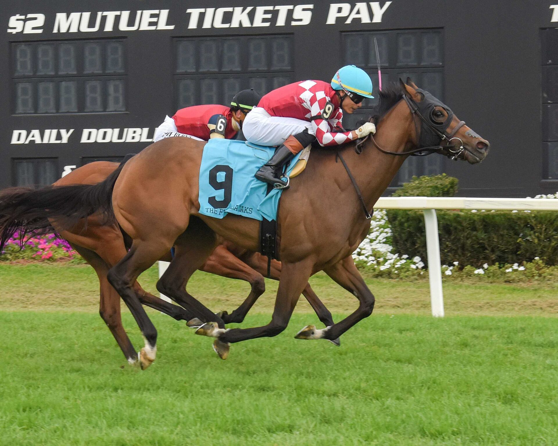 Nitrogen, horse, D. J. Stable LLC, Florida Oaks, sábado, 8 de marzo de 2025, Tampa Bay Downs. Foto: SV Photography