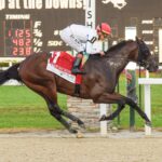 Owen Almighty, horse, Speightstown, Tampa Bay Derby, sábado, 8 de marzo de 2025 Tampa Bay Downs Foto: SV Photography