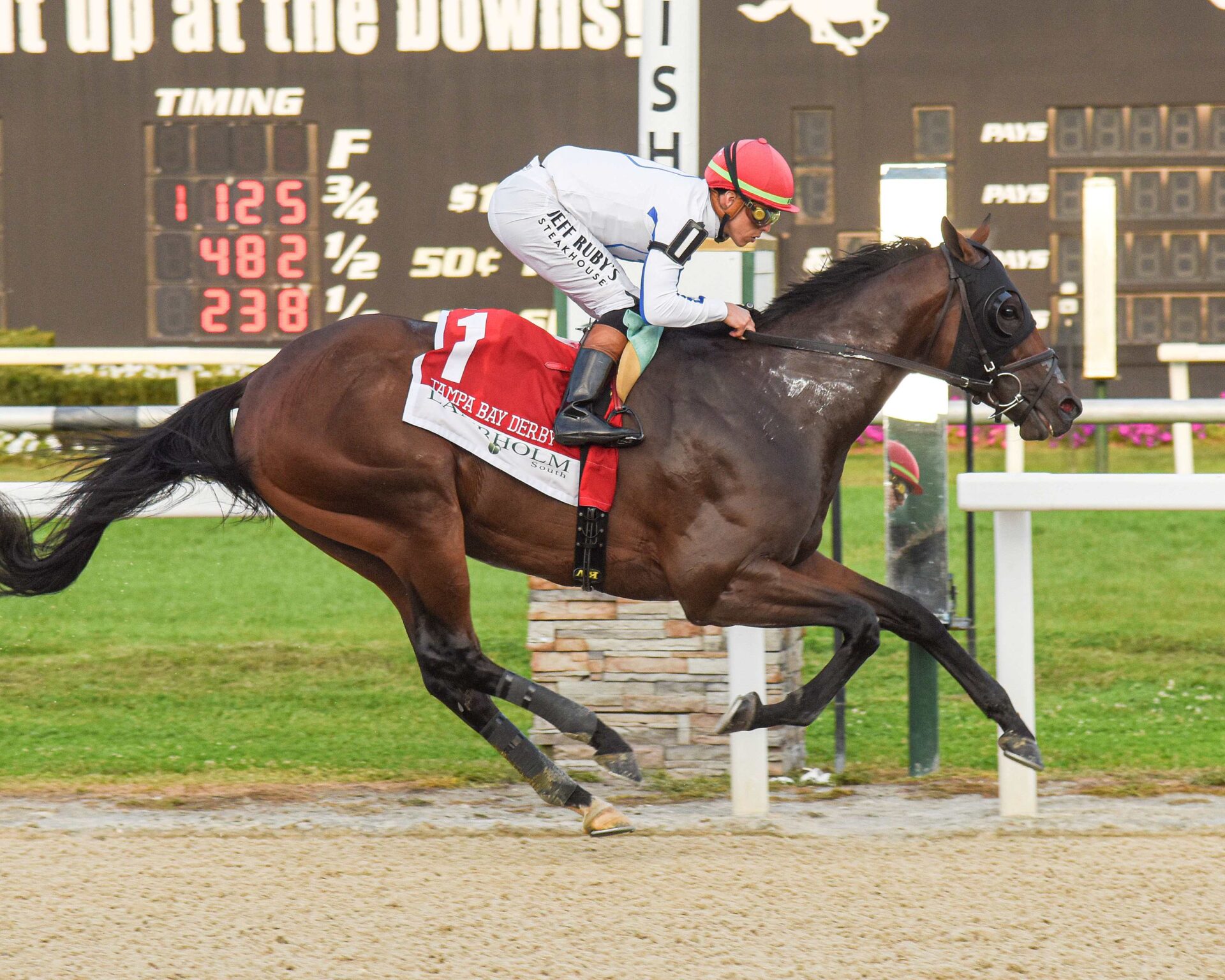 Owen Almighty, horse, Speightstown, Tampa Bay Derby, sábado, 8 de marzo de 2025 Tampa Bay Downs Foto: SV Photography