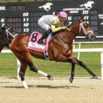 Skippylongstocking, horse, Brushy Hill LLC, Michelob Ultra Challenger, sábado, 8 de marzo de 2025, Tampa Bay Downs. Foto: SV Photography