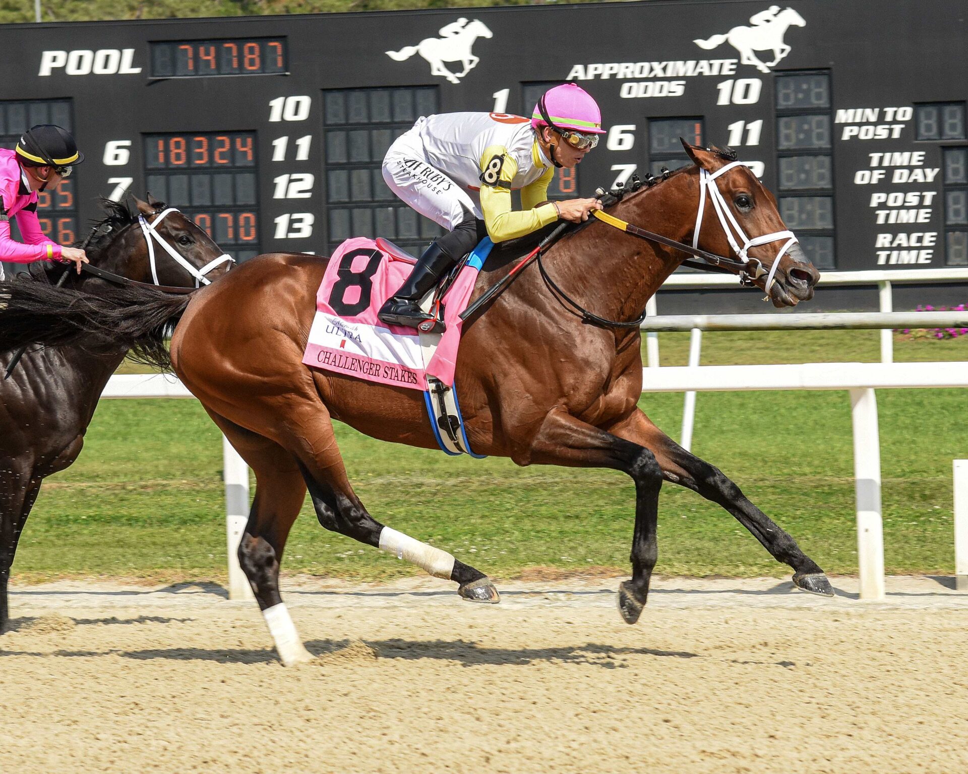 Skippylongstocking, horse, Brushy Hill LLC, Michelob Ultra Challenger, sábado, 8 de marzo de 2025, Tampa Bay Downs. Foto: SV Photography