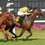 Zulu Kingdom, horse, Ten Sovereigns, Columbia Stakes, sábado, 8 de marzo de 2025, Tampa Bay Downs. Foto: SV Photography