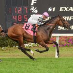 Saffron Moon, horse, Cove Springs Farm LLC, Hillsborough Stakes, sábado, 8 de marzo de 2025, Tampa Bay Downs. Foto: SV Photography