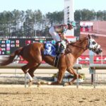 American Promise, horse, Candy Meadows LLC, Virginia Derby, sábado, 15 de marzo de 2025, Colonial Downs. Foto: Coady Media