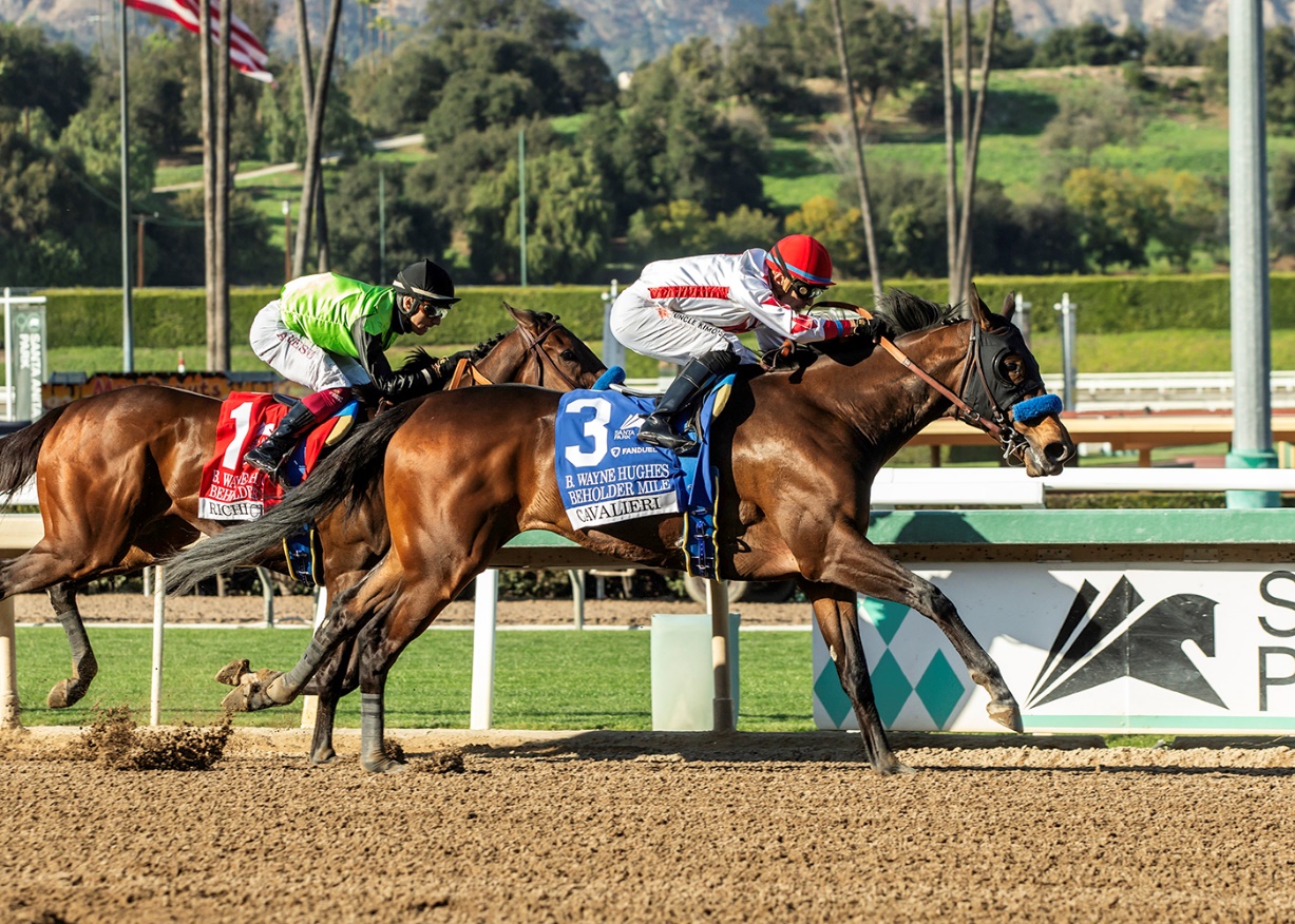 Cavalieri, horses, Beholder Mile Stakes Stakes, sábado, 8 de marzo de 2025, Santa Anita Park. Foto: Benoit Photo 2