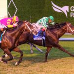 Capture The Flag, horse, Quality Road, Mac Diarmida Stakes, sábado, 1 de marzo de 2025, Gulsftream Park. Foto: Coglianese Photo