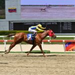 El Relámpago, horse, Mr. Defence, Clásico Mauricio Azar, domingo, 9 de marzo de 2025, La Rinconada. Foto: José Antonio Aray