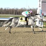 Final Gambit, horse, Juddmonte Farm, Jeff Ruby Stakes, sábado, 22 de marzo de 2025, Turfway Park. Foto: Coady Media