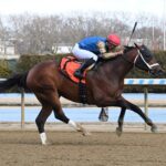Flood Zone, horse, Frosted, Gotham Stakes, sábado, 2 de marzo de 2024, Aqueduct. Foto: Coglaniese Photo & Susie Raisher