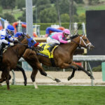 Formidable Man, Horses, City Of Light, Frank E. Kilroe Stakes, sábado, 1 de marzo de 2025, Santa Anita Park. Foto: Benoit Photo