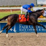 Good Cheer, horse, Godolphin, Louisiana Oaks, sábado, 22 de marzo de 2025, Fair Grounds. Foto: Hodges Photography