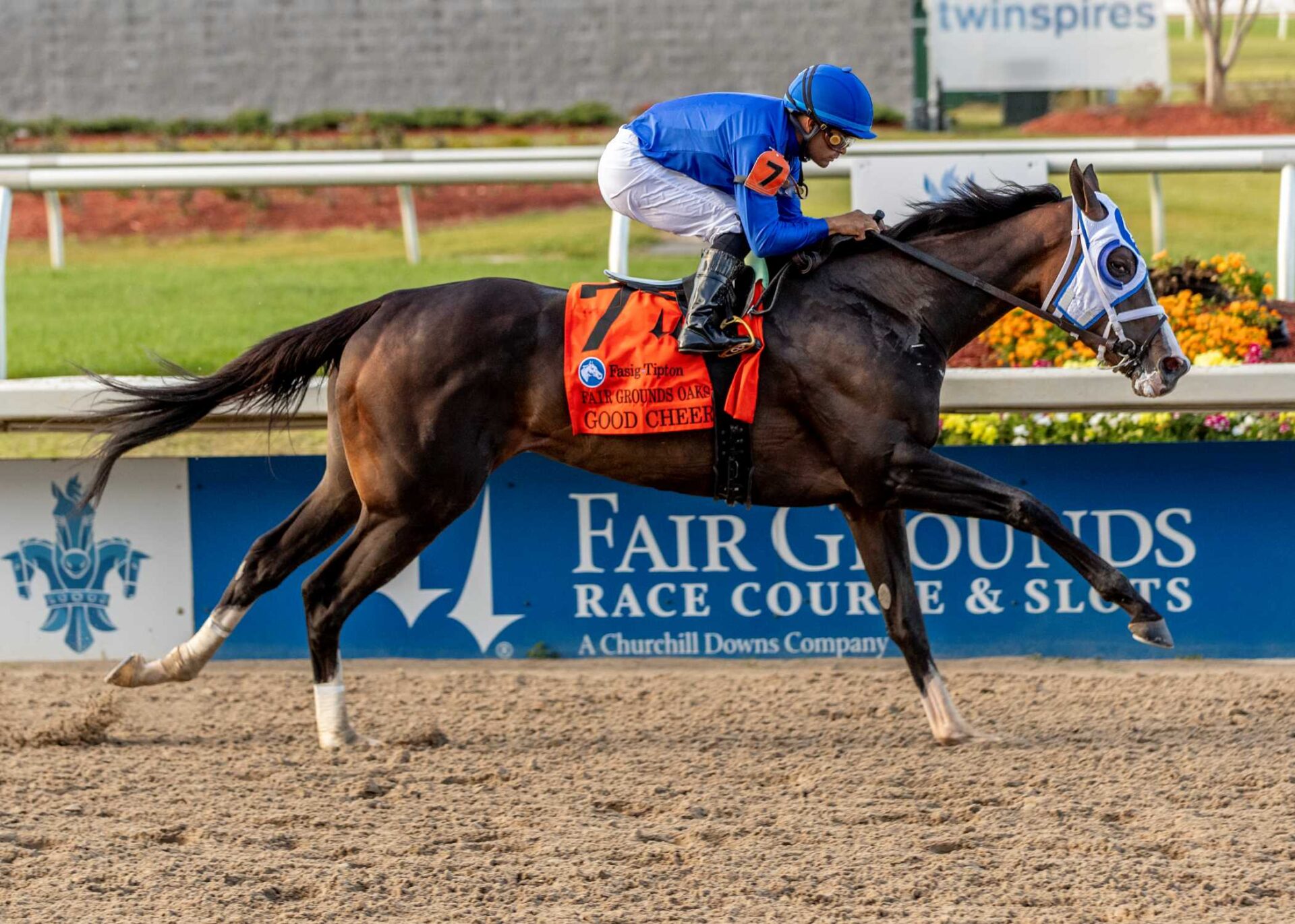 Good Cheer, horse, Godolphin, Louisiana Oaks, sábado, 22 de marzo de 2025, Fair Grounds. Foto: Hodges Photography
