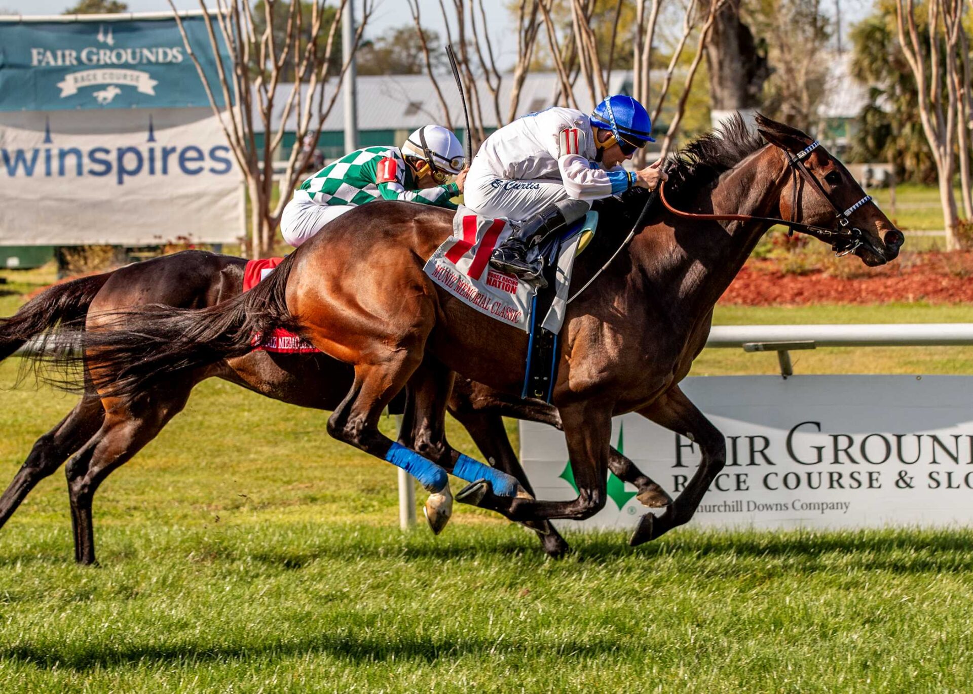 I´dratherbeblesse, horse, Narola LLC, Muniz Memorial Classic, sábado, 18 de enero de 2025, Fair Grounds. Foto: Hodges Photography