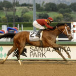 Journalism, Horses, Haras Don Alberto, San Felipe Stakes, sábado, 1 de marzo de 2025, Santa Anita Park. Foto: Benoit Photo