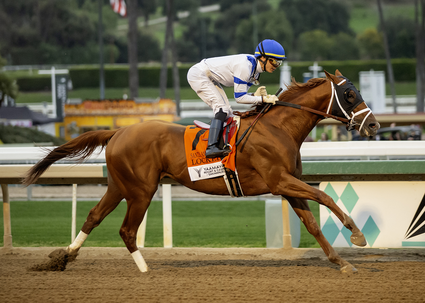 Locked, horse, Eclipse Thoroughbred Partners, Santa Anita Hándicap, sábado, 1 de marzo de 2025, Santa Anita Park. Foto: Benoit Photo