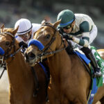 Maysam, Horses, Game Winner, Santa Ysabel Stakes, domingo, 2 de marzo de 2025, Santa Anita Park. Foto: Benoit Photo