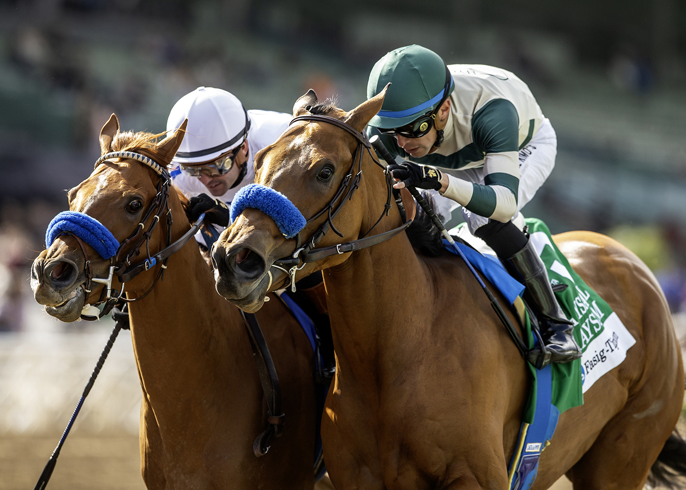 Maysam, Horses, Game Winner, Santa Ysabel Stakes, domingo, 2 de marzo de 2025, Santa Anita Park. Foto: Benoit Photo