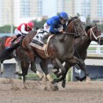 Sovereignty, horse, Godolphin, Fountain Of Youth Stakes, sábado, 1 de marzo de 2025, Gulfstream Park. Foto: Coglaniese Photo & Lauren King