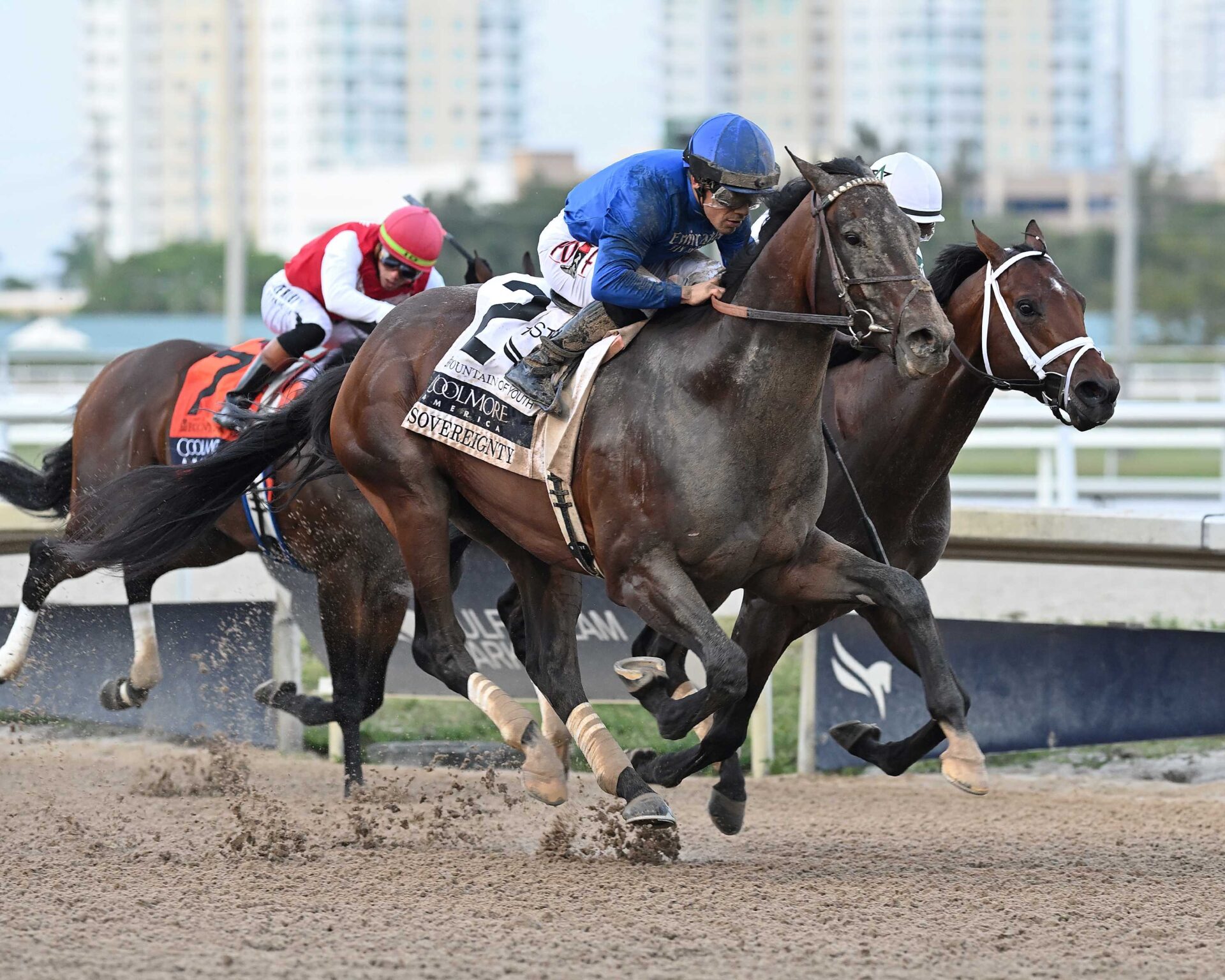 Sovereignty, horse, Godolphin, Fountain Of Youth Stakes, sábado, 1 de marzo de 2025, Gulfstream Park. Foto: Coglaniese Photo & Lauren King