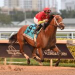 Tappan Street, horses, Into Mischief, Curlin Florida Derby, sábado, 30 de marzo de 2024, Gulfstream Park. Foto: Coglaniese Photo & Lauren King