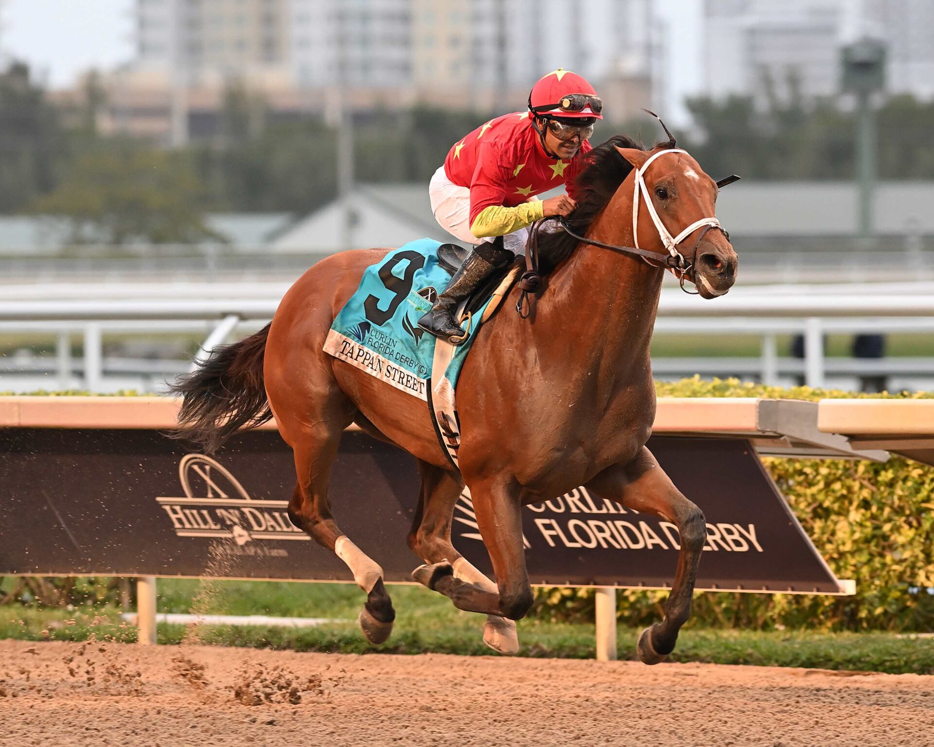 Tappan Street, horses, Into Mischief, Curlin Florida Derby, sábado, 30 de marzo de 2024, Gulfstream Park. Foto: Coglaniese Photo & Lauren King